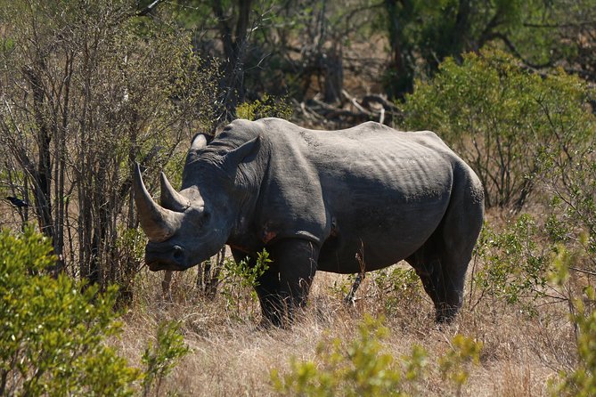 12-Day Delta, Chobe & Victoria Falls (Small Group Safari) - Overland Adventure Details