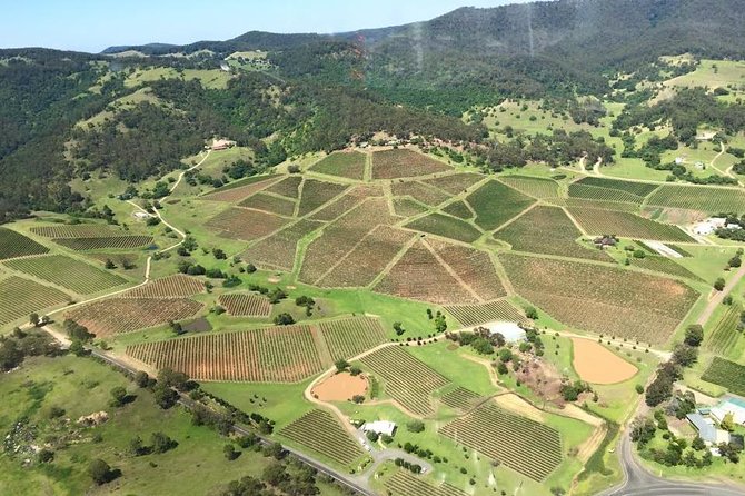 12-Minute Small-Group Hunter Valley Scenic Helicopter Flight - Tour Experience and Highlights