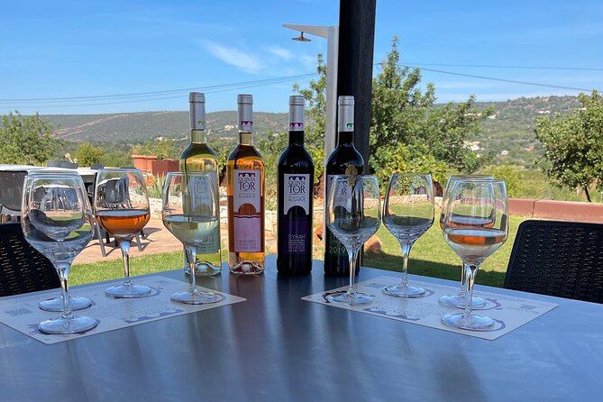 2-3 Hr Electric Motor Bike Tour to Quinta Da Tor Winery Algarve - Experience at Quinta Da Tor Winery