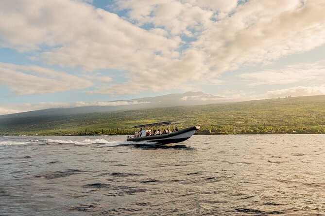 2.5 Hours Whale Watching On A 41 Super-Raft - What to Expect