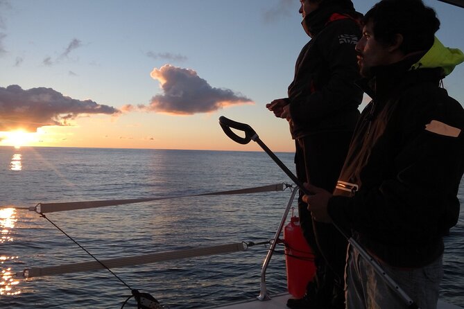 2.5h Sunset Navigation With Azorean Appetizers and Wine - Enjoy Delectable Azorean Appetizers and Wine