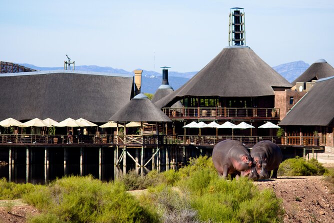 2-Day Buffelsdrift Game Lodge Safari With Cango Caves Shared Tour - Meeting and Pickup Details