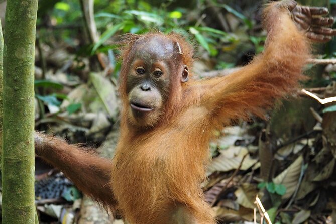 2-Day Jungle Trekking & Rafting in North Sumatra - Start and End Time
