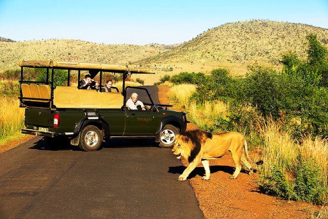 2 Day Private Pilanesberg Guided Tour - Minimum Travelers Requirement
