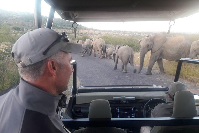 2 Day Tented Safari in the Pilanesberg - Safari Details