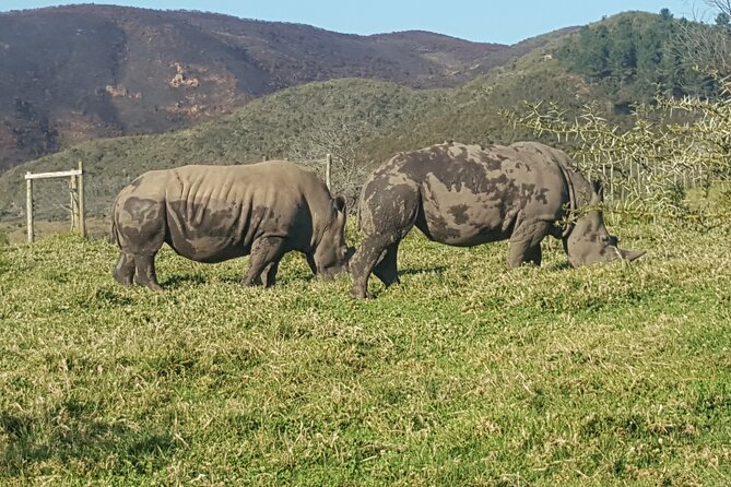 2 Days Garden Route Experience - Accommodation Options