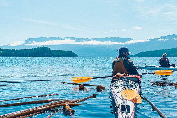 2 Hour Evening Adventure Kayaking Tour - Maximum Number of Travelers and Admission Ticket