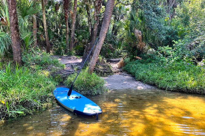 2 Hour Guided Stand up Paddle Board Tour Along Upper Manatee River - Inclusions