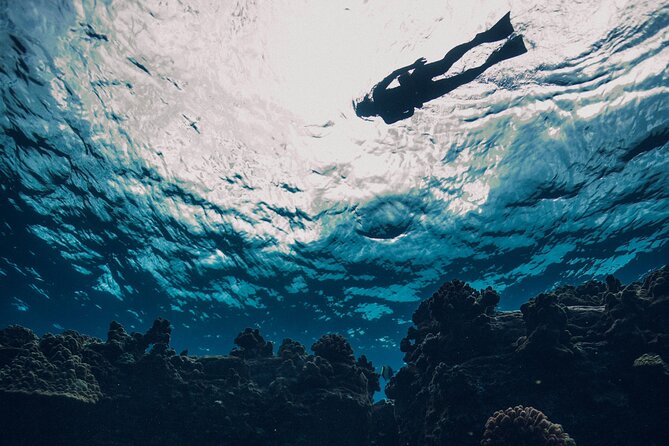 2 Hour Private Snorkeling Experience to Molokini From Kihei - Inclusions