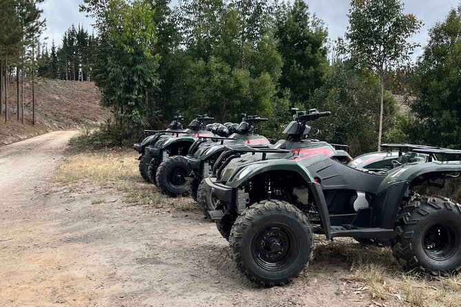 2-Hour Quad Biking Guided Excursion Through the Knysna Forests - Inclusions