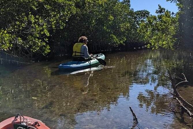 2 Hour Tandem Kayak Tour (Price for 2 People) - Tour Details and Inclusions