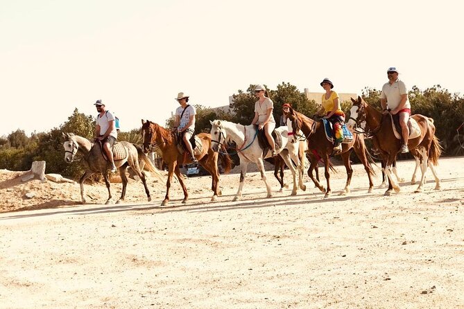 2 Hours Horse Riding on the Sea and Desert- Hurghada - Meeting and Pickup