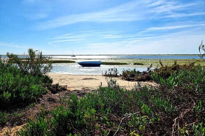 2 Hours Kayak Island Tour in the Natural Park of Ria Formosa - Booking Details