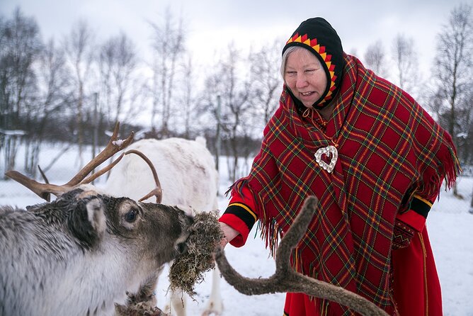 2 Hours Meet The Reindeer in Lofoten - Additional Information