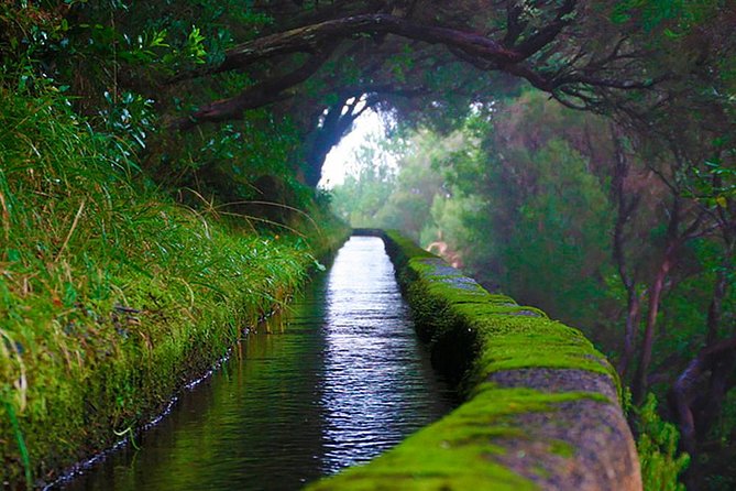 25 Fountains" Walk / Lost In The Beautiful Forest - Booking and Confirmation Details