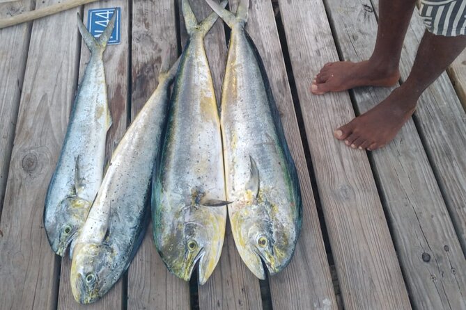 28ft Yacht Half Day Charter in Nassau Bahamas - Itinerary for Half Day Charter