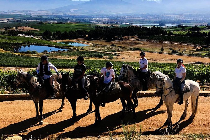 2h – Horse Trail - Activity Details