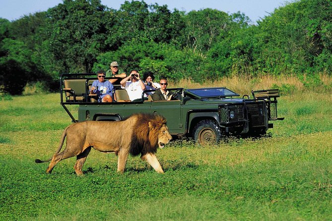 3 Day Big 5 and Bungee Tour - Garden Route Small Group Tour From Cape Town - Optional Adrenaline-Fueled Activities