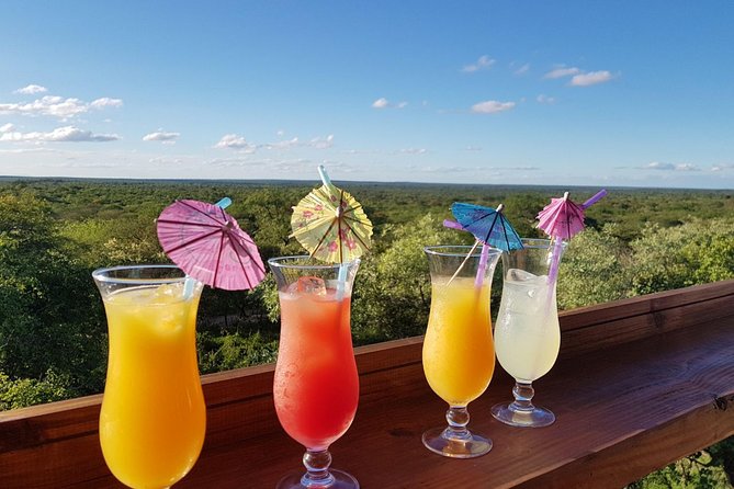 3-Day Essence of the Kruger Park - Wildlife Encounters