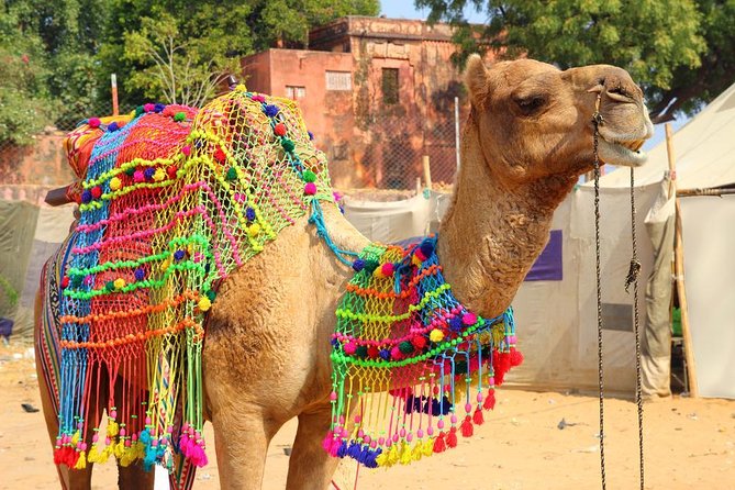 3 Day Jaipur Private City Tour With Day-Trip To Pushkar - Tour Inclusions