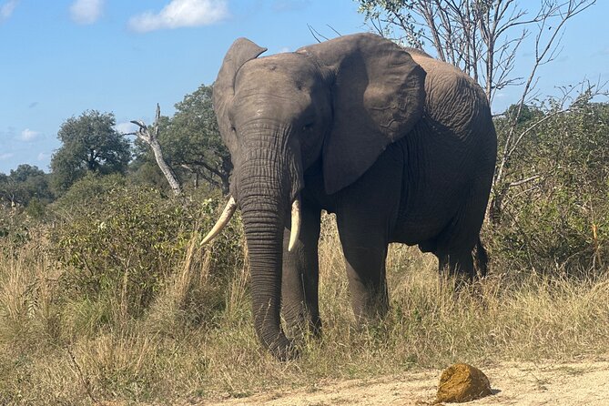 3 Day Kruger National Park End With Panaroma - Panoramic Landscapes