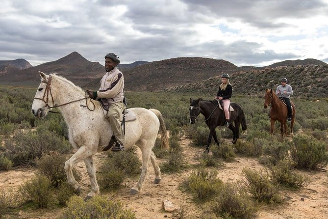 3 Day Luxury Aquila Private Game Reserve - Booking Information and Pricing