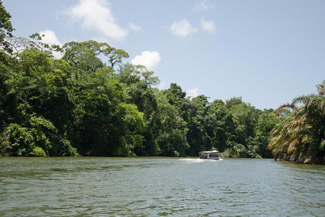 3-day Tortuguero Expedition - Trip Overview