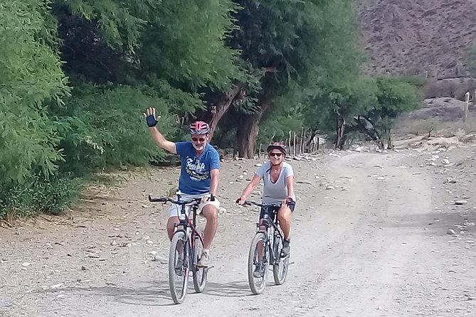 3-Day Tour of Cachi, Laguna Brealito and National Park Los Cardones - Accommodation and City Tour