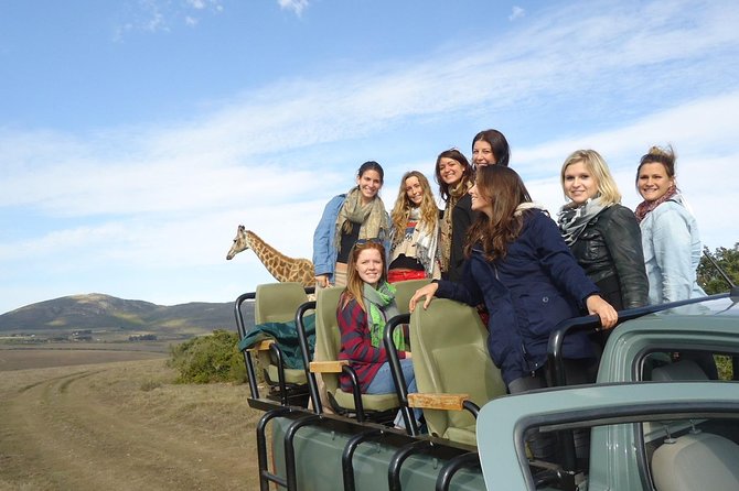 3 Day Wildlife Safari Tour - Garden Route Small Group Tour From Cape Town - Reviews and Additional Information