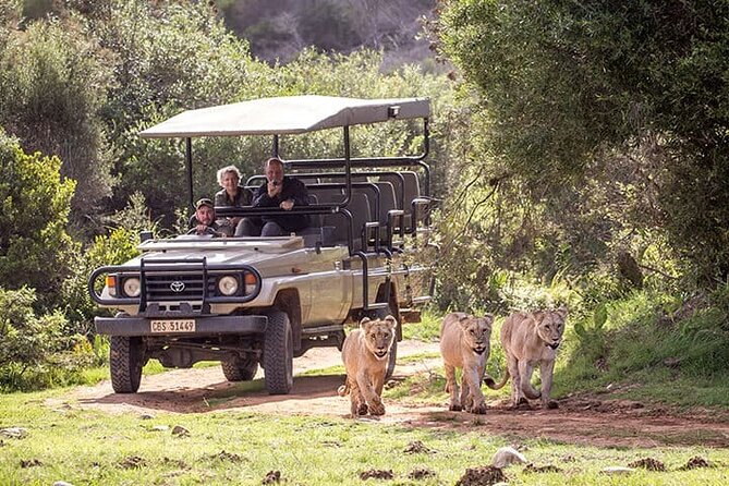 3 Days 2 Nights Garden Route Private Tour From Cape Town - Pricing and Booking Information