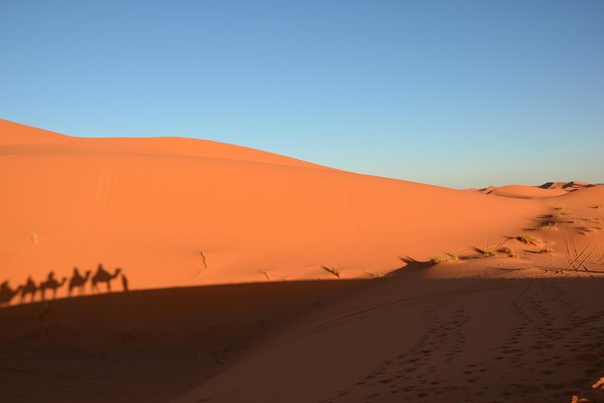 3 Days Safari To Merzouga From Marrakech - The Sum Up