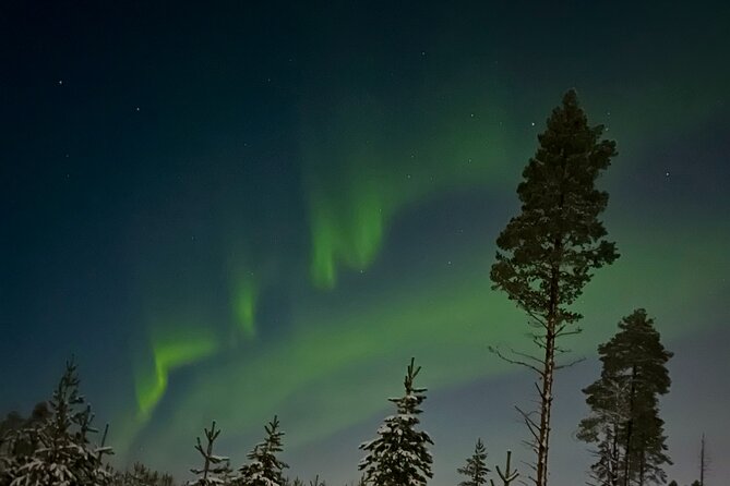 3 Hour Aurora Hunting Through the Forests of Lapland - Essential Gear for Aurora Hunting