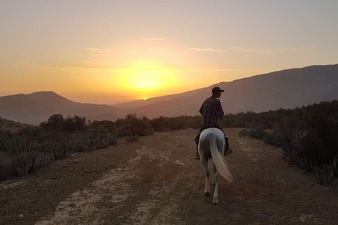 3-hour Horseback Ride Mountain and Beach Morocco - Whats Included in the Horseback Ride Package