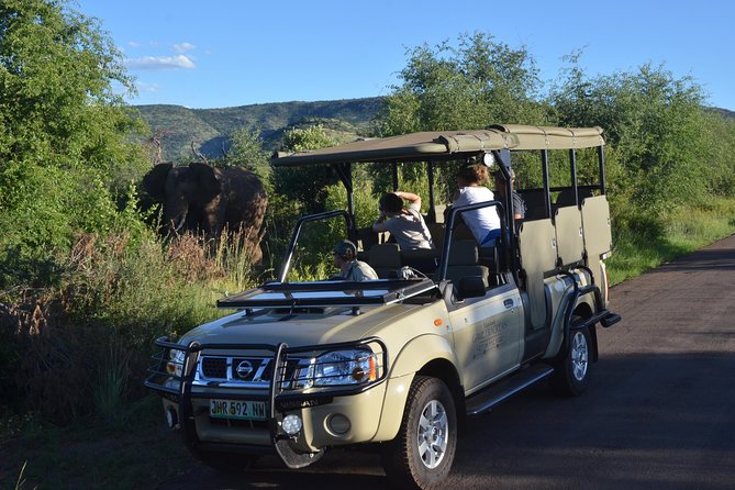 3-Hour Private Game Drive of Pilanesberg National Park - Tracking Africas Big Five Game Animals
