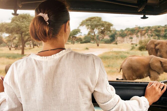 3-Hour Scheduled Safari Game Drive in Pilanesberg National Park - Wildlife Encounters on the Game Drive
