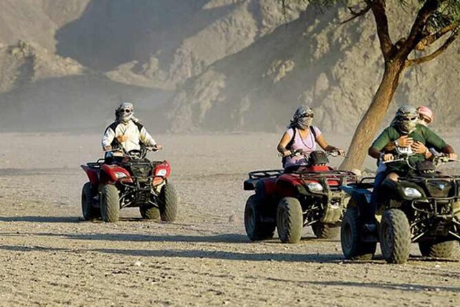 3 Hours Quad With Camel Ride From Marsa Alam - Tour Overview