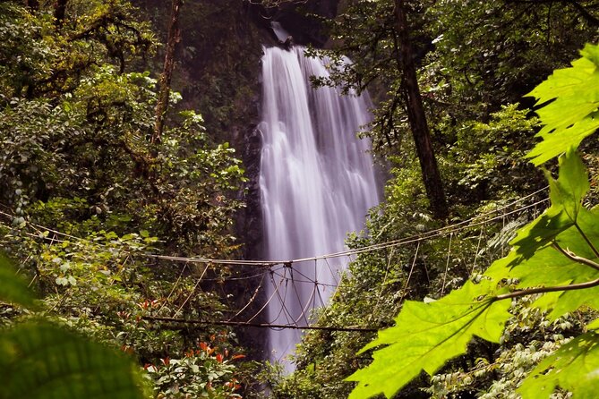 3-in-1 Monteverde Cloud Forest Waterfalls, Wild Trekking and Horseback Riding - Waterfall Exploration
