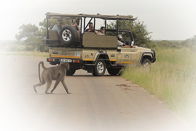 3 Night & 4 Day Private Kruger Park Safari - Itinerary and Activities