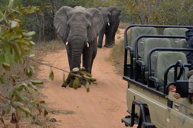 4 Day Greater Kruger Kapama Game Lodge Safari With Panorama Route Journey - End Point and Customization Options