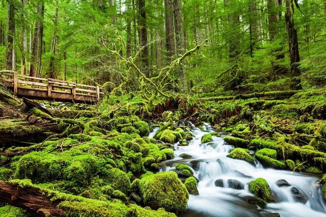 4-Day Olympic Backpacking - Sol Duc and the Seven Lakes Basin - Packing Essentials
