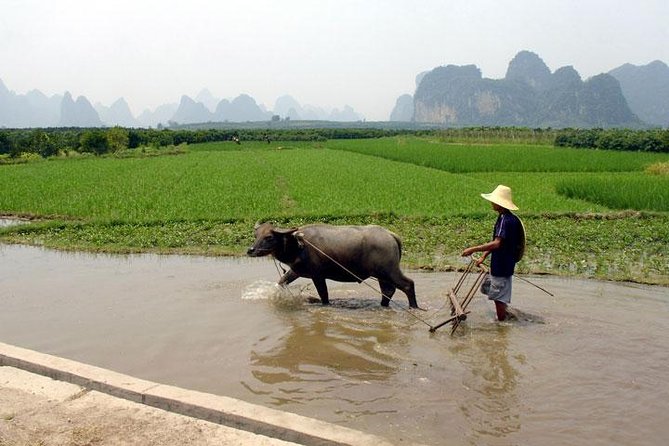 4-Day Private Tour to Guilin and Yangshuo - Itinerary