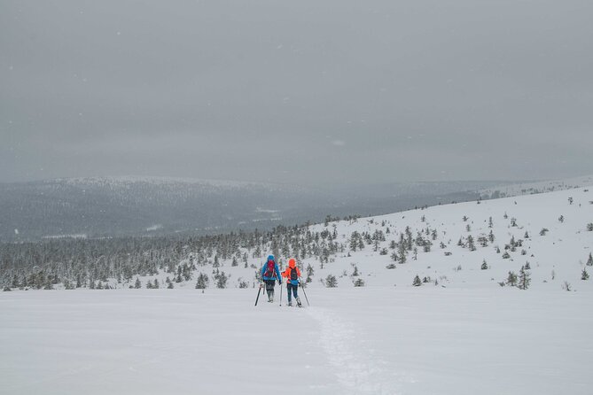 4-Day Small-Group Snowshoe Trek From Rovaniemi - Wilderness Hut Accommodation