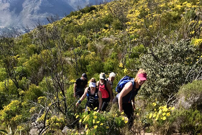 4 Day Table Mountain 13 Peaks Challenge - Preparing for the Challenge