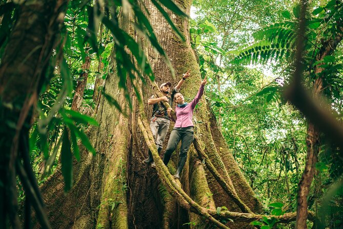 4-Day Tour of Cuyabeno Wildlife Reserve in Ecuador  - Nueva Loja - Traveler Experience