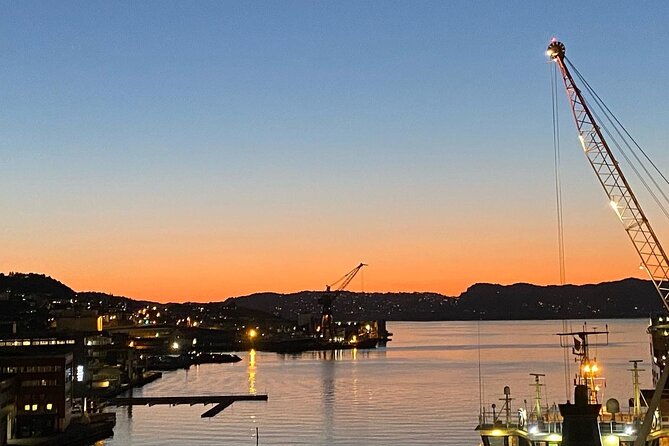 4 Days Private Getaway in Bergen - Day 2: Nature Excursions and Fjord Cruise