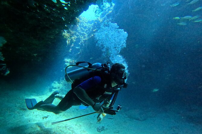 4 Hour Private Activity, Two Tank Diving in San Andres - Traveler Experience Highlights