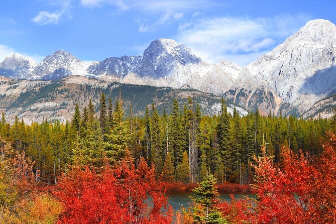 4 Hours Private Tour in Kootenay Plains Trails - Trail Options