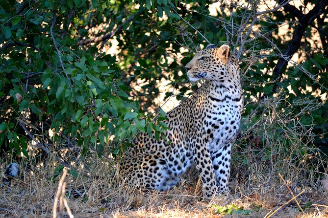 4 Night Kruger Safari and Blyde Canyon - Cancellation Policy