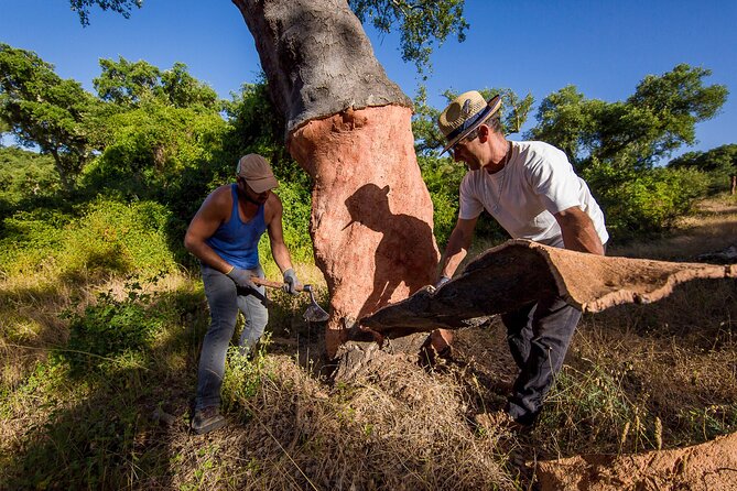 4x4 Cork Tour With Optional Lunch - Lunch Options