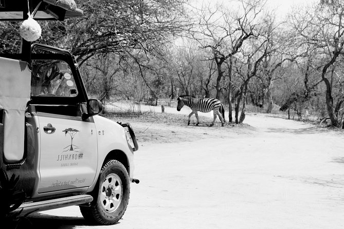 5-Day Discover the Kruger Park - Accommodation Options
